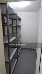 Hoover Park (D21), Terrace #313876631